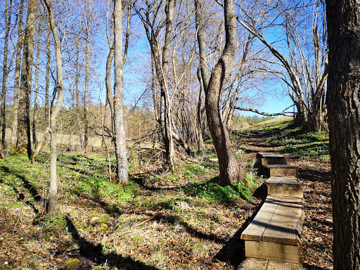 Maglehem naturreservat - Thumbnail