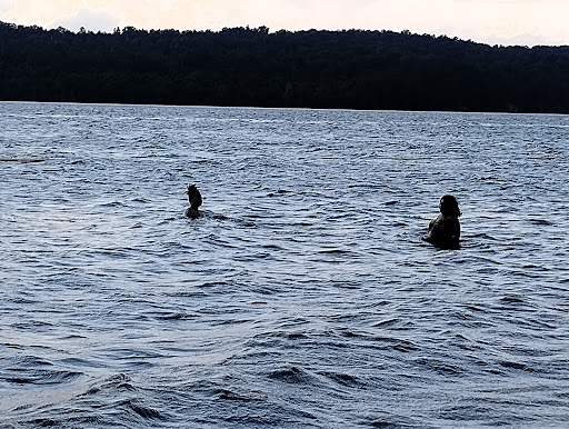 Guntersville beach Gallery - United States