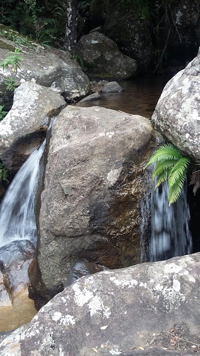 natural-feature