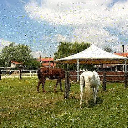 Azienda Agricola "La Futura" S.A.S.Di Rossi Patrizia & C.