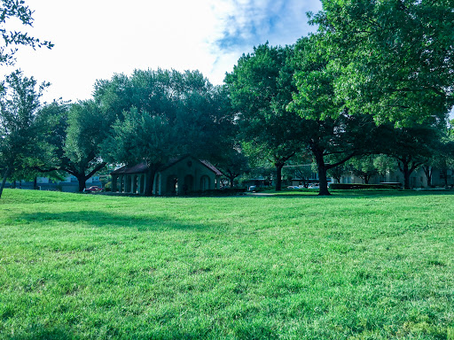 Cole Park - Visual