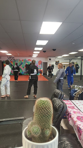 White Knuckle Boxing Academy - Thumbnail