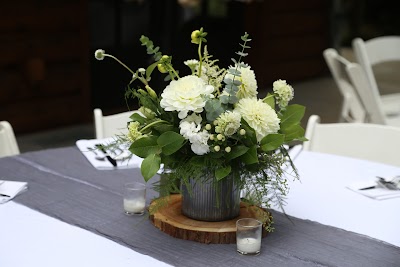 Dapper Dandelion Floral + Plant