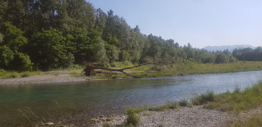 Fiume serio - Visual