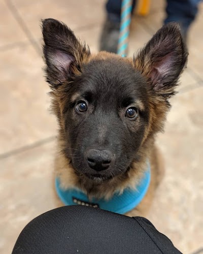 Bozeman Pet Hospital