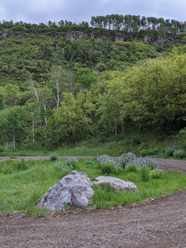 Mesa Creek Campground - Thumbnail