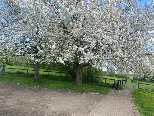 Queen Park - Visual