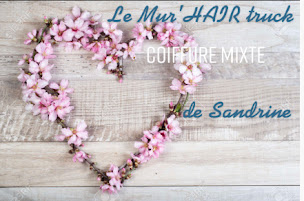 Photo n°1 de Le Mur'HAIR Truck de Sandrine à Oderen (Salon de coiffure)