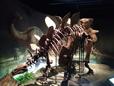 Anniston Museum of Natural History