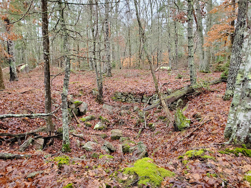 Mattapoisett River Wildlife Management Area