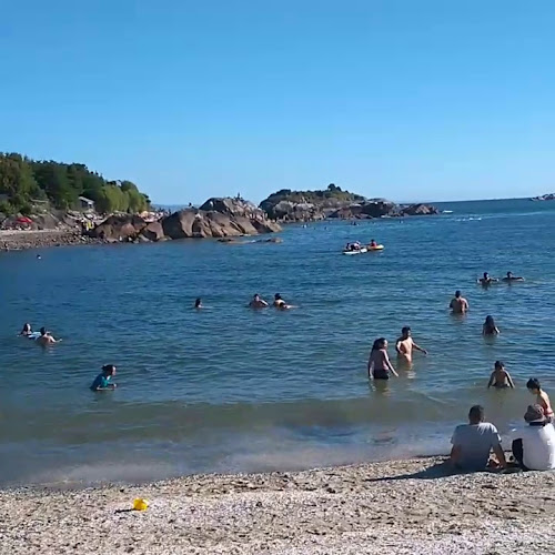 Horarios de Camping Punta Metri