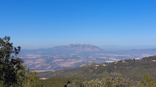 Puig d'Agulles - Thumbnail