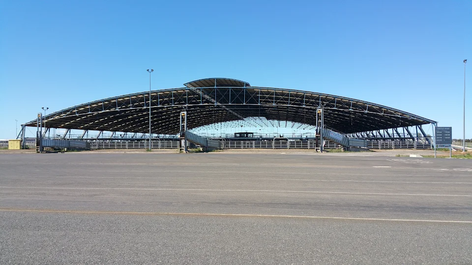 Forbes Central West Livestock Exchange photo