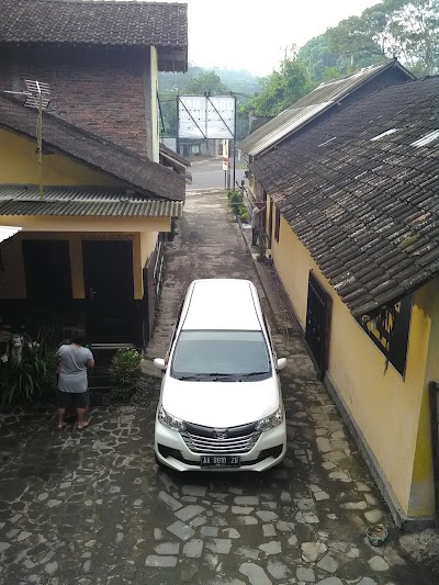 Photos of Udan Mas Guesthouse & Gallery