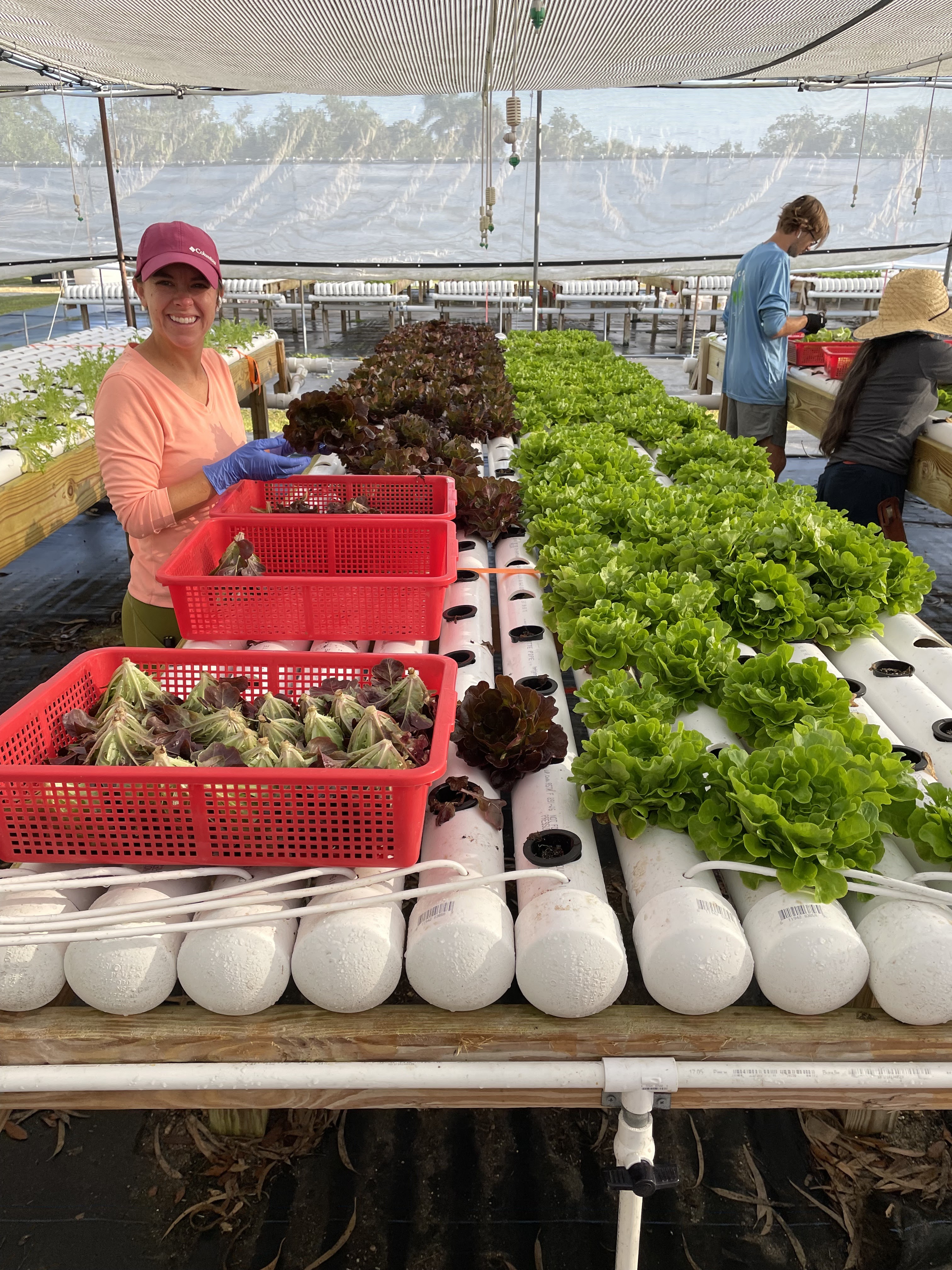EFC Farms