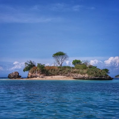 Photos of Gili Petelu