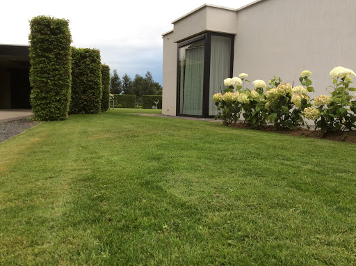 Cherty Design