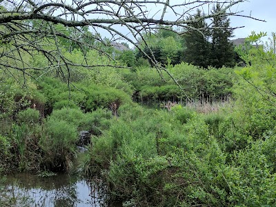 Pistol Creek Wetland Center