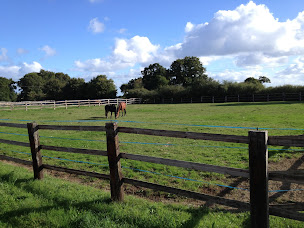 Photo n°2 de Ecurie du cast à Saint-Cast-le-Guildo (Centre équestre)