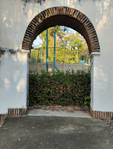 Amates Park - Visual