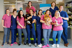 Photo n°20 de Bio'Vet Peyrehorade à Peyrehorade (Clinique vétérinaire)