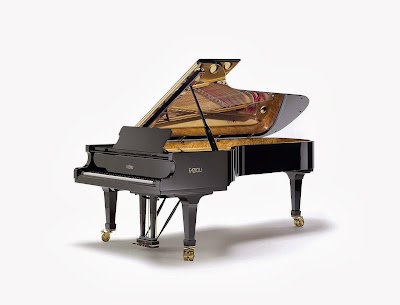 Fazioli Pianoforti S.p.A.