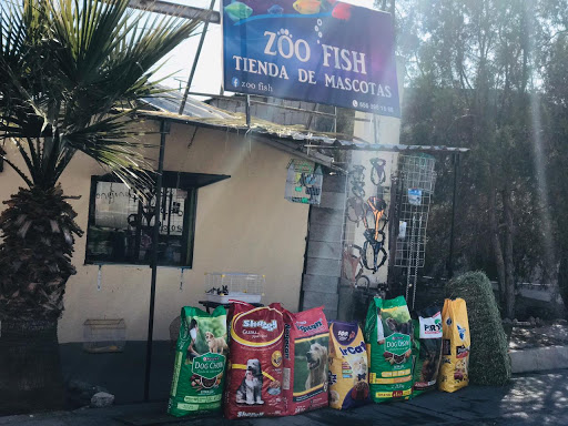 Zoo Fish - Visual
