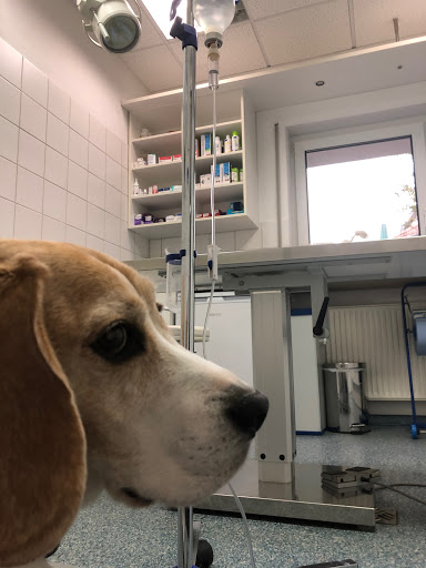 Dr. med. vet. Roland Graen - Thumbnail