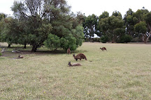 Hanson Bay Wildlife Sanctuary, Hanson Bay, Australia