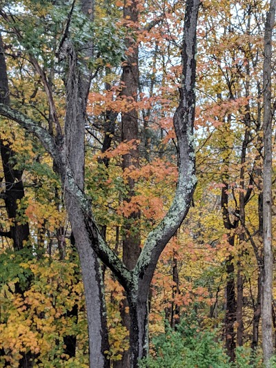 Ohio University Ridges Land Lab Nature Preserve And Scientific Research Area