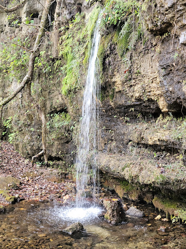 Falling Spring Mill - Visual