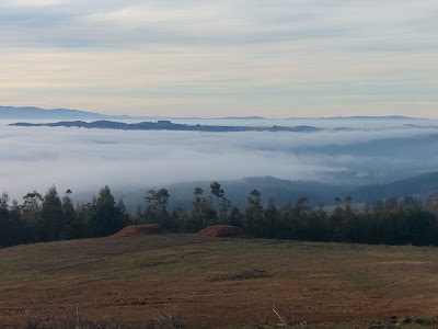 Photos of Liucura la bodega