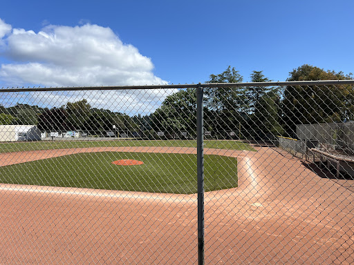 AAA Field - Visual