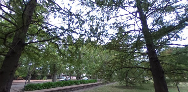 Vieja Plaza Conaprole - Paso Carrasco