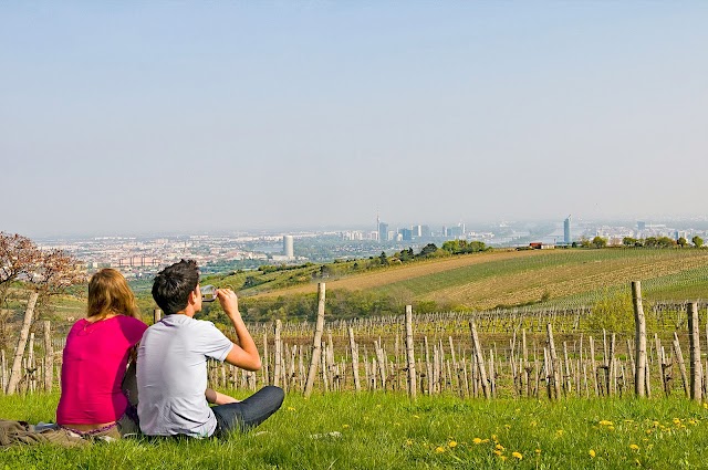 Weingut Wailand
