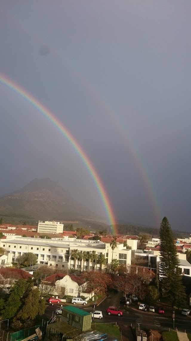 Université de Stellenbosch
