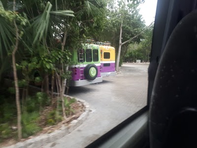 Photos of Cancun Private Tours
