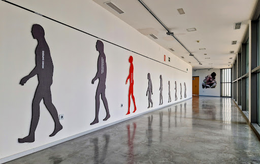 Museo de Prehistoria de Orce Gallery - Spain