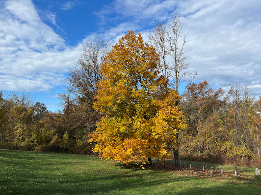 Cylburn Arboretum - Thumbnail