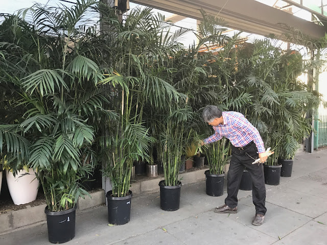 City Home & Garden, Inc by null