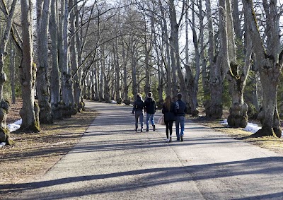 Photos of Toila-Oru park