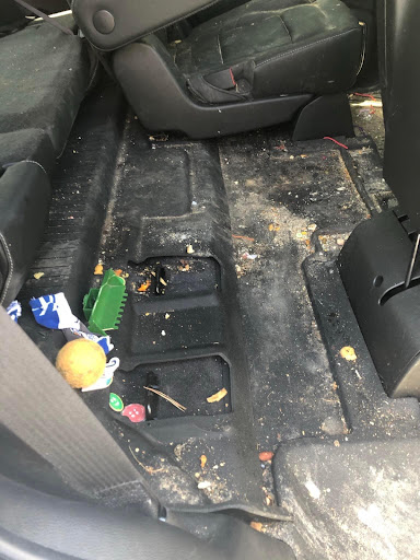 Always Detailing - Visual