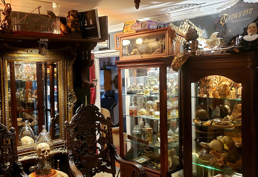 Crowz Eye Antiquities - Thumbnail