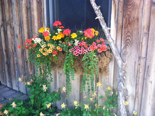 Heather's Garden Service and Flower Farm Gallery - United States