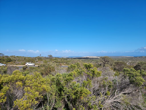 Templetonia Lookout Logo