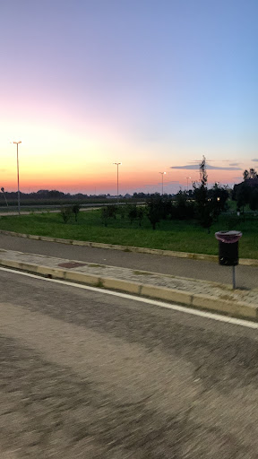 Sunset Park • Woodhenge - Thumbnail