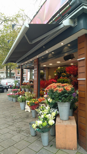 B&B Bloemen Haarlem