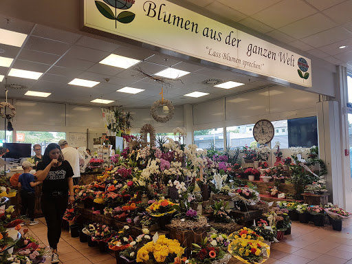 Kaufland Schwerte - Thumbnail