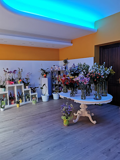 Arte Floreale di Firuti Claudia Elena