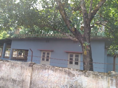 Photos of N.S. Govt. College, Natore